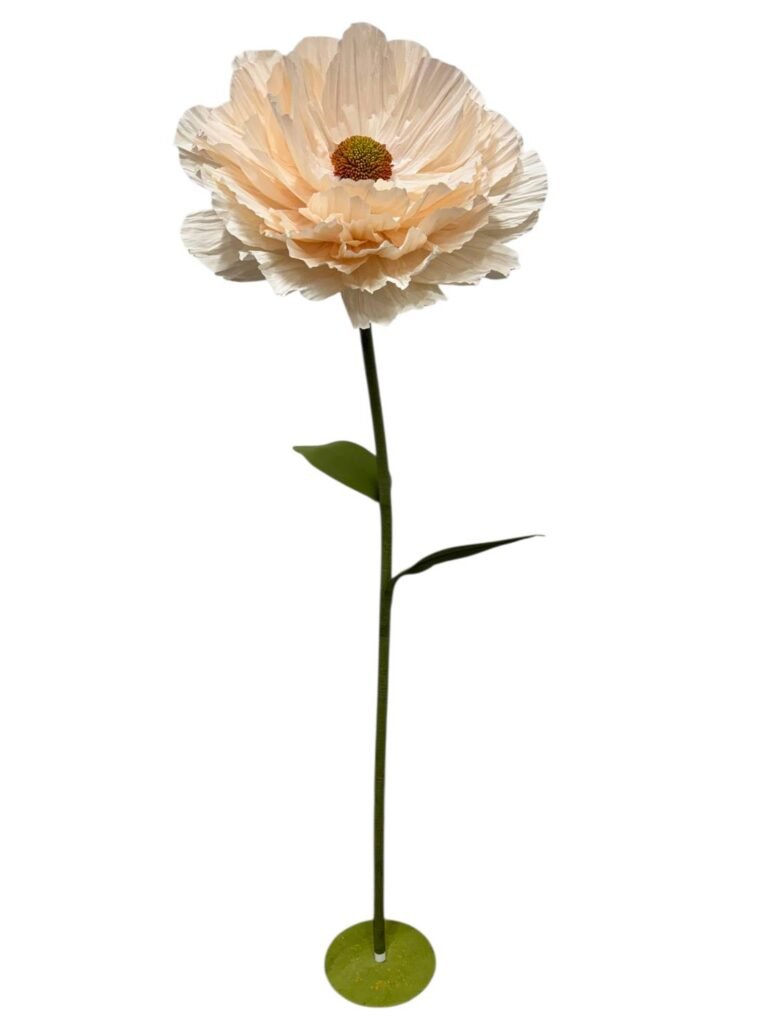 RANUNCULUS