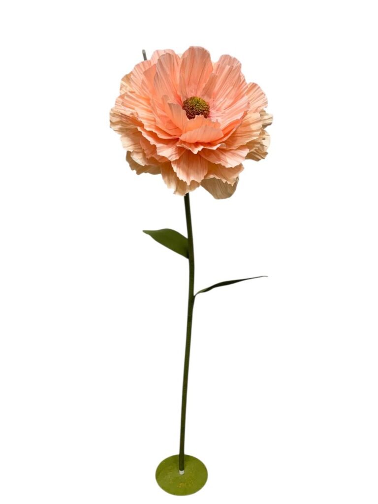 BEIGE SALMON RANUNCULUS