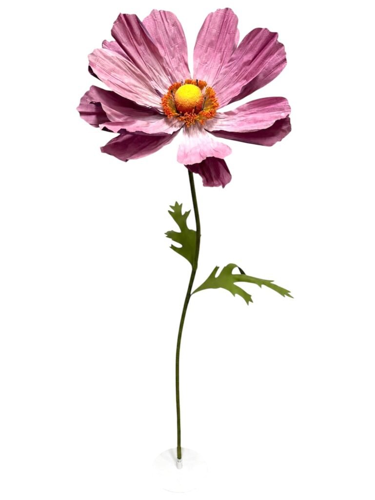 Mauve Cosmo