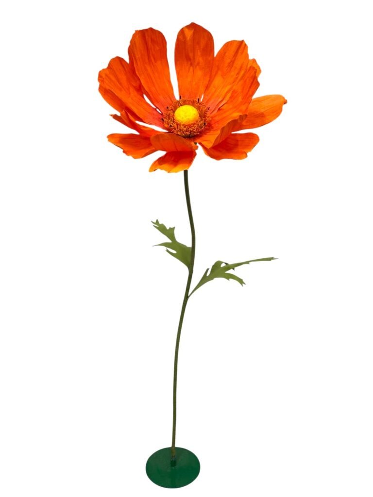 Orange Cosmo