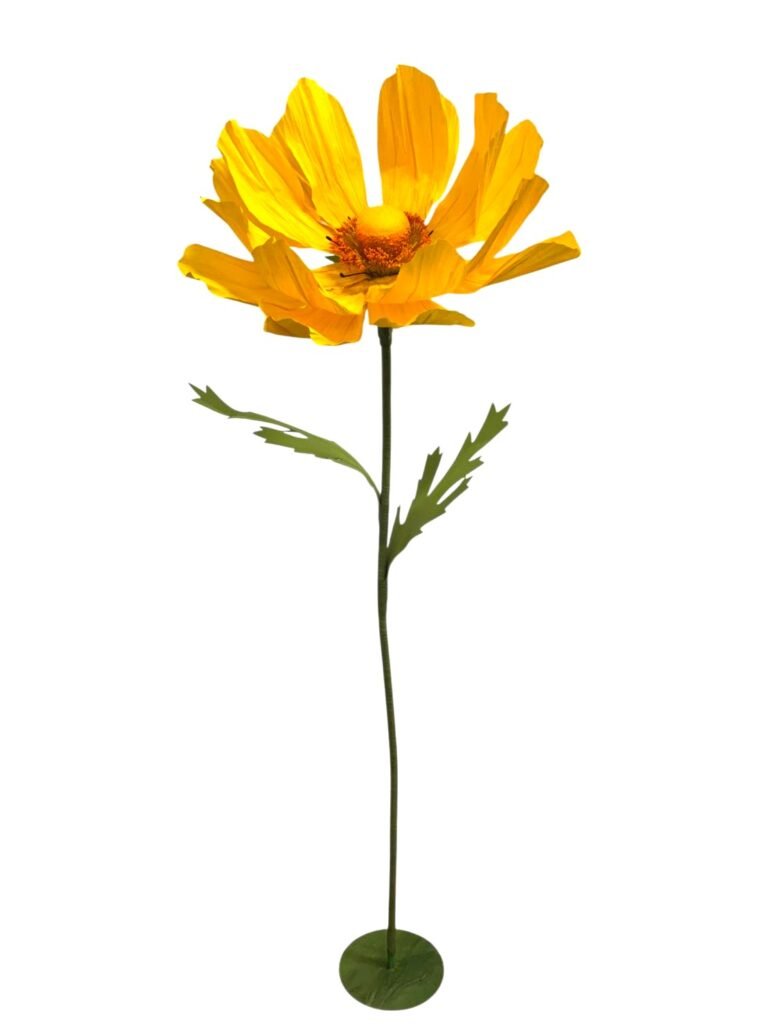 Yellow Cosmo