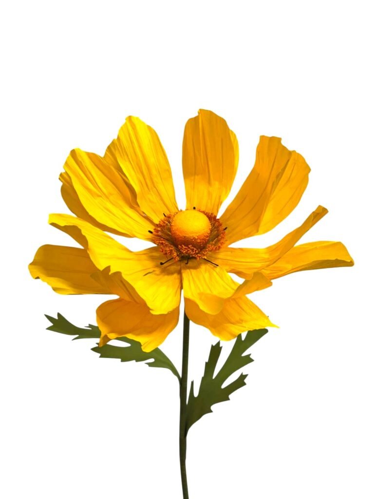 Yellow Cosmo