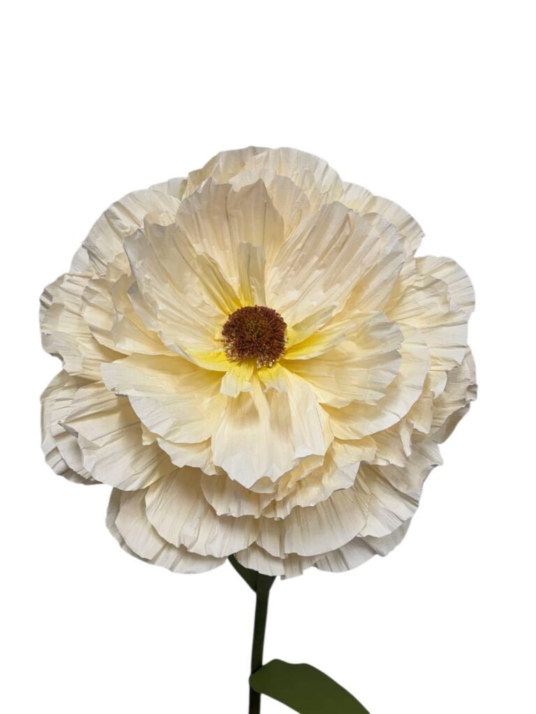 BUTTER RANUNCULUS