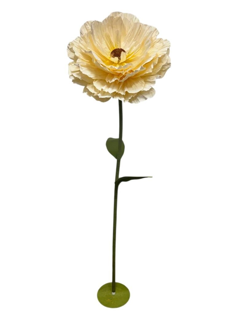 BUTTER RANUNCULUS