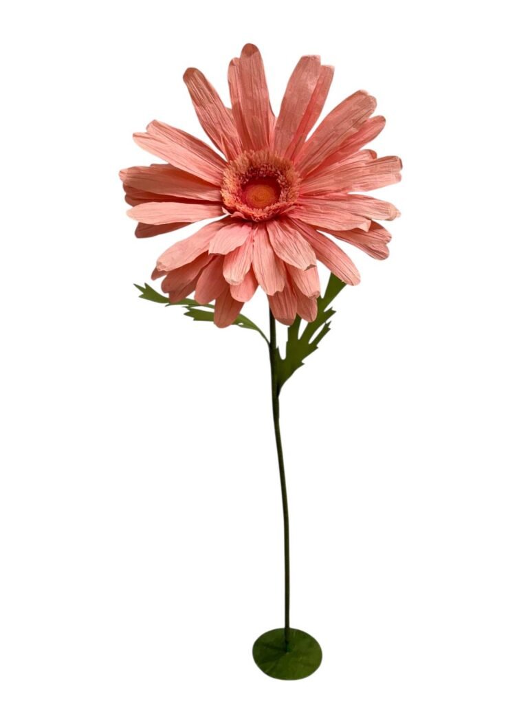 Salmon Gerbera