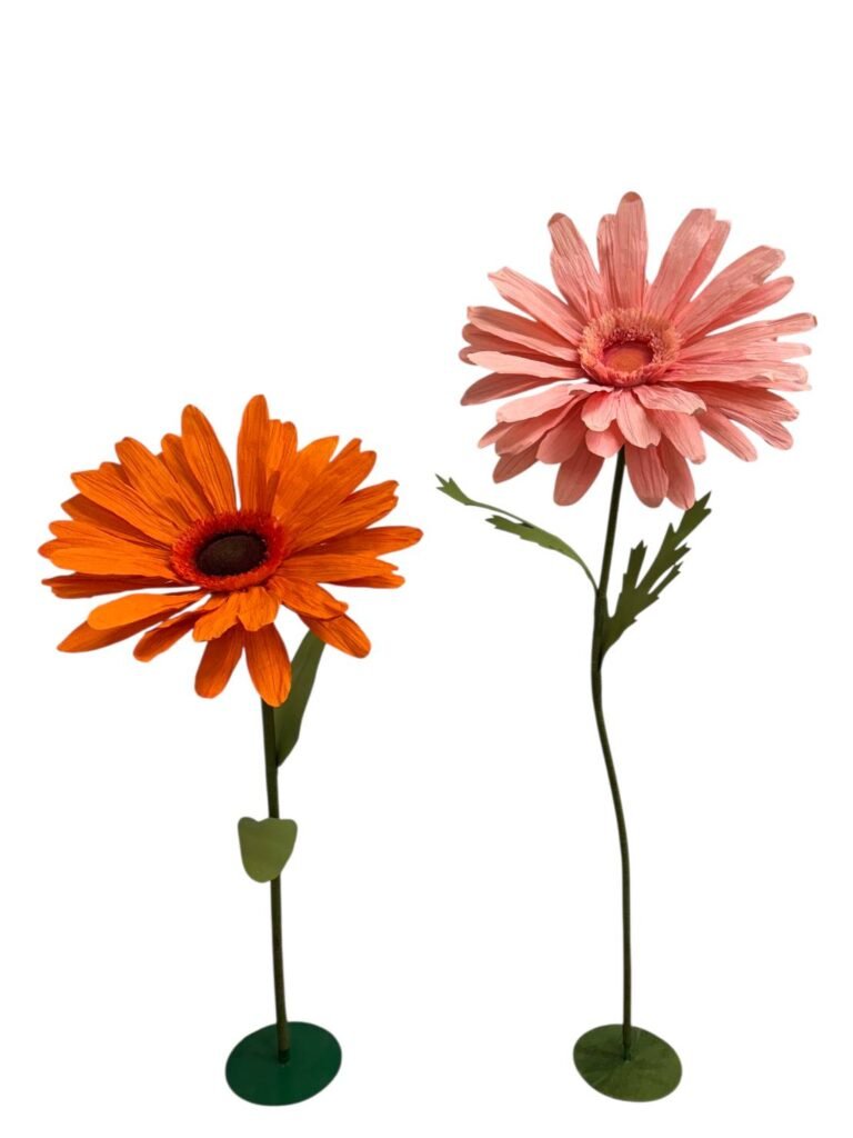 Salmon Gerbera