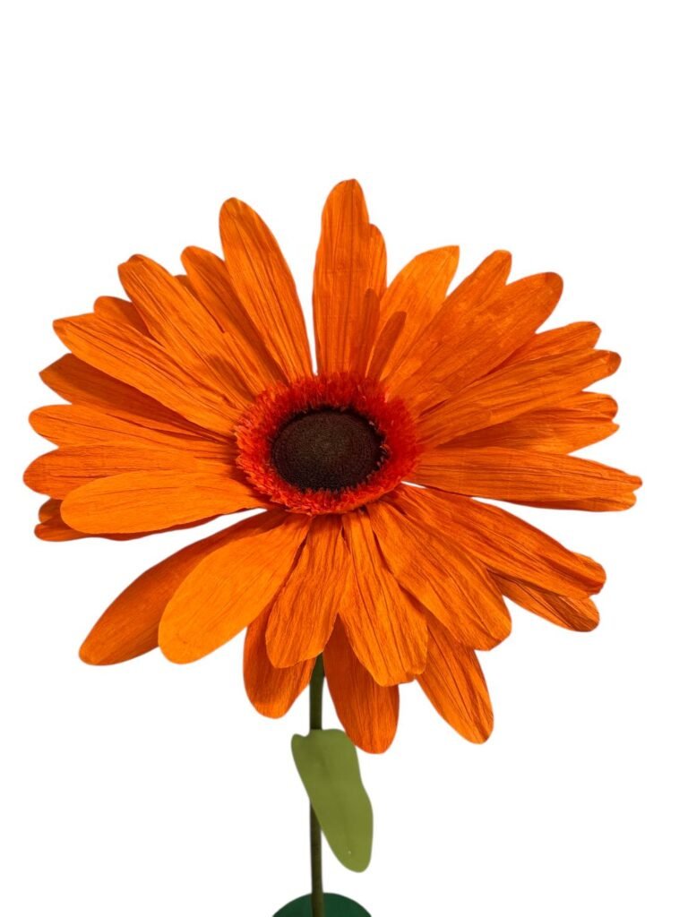 Orange Gebera