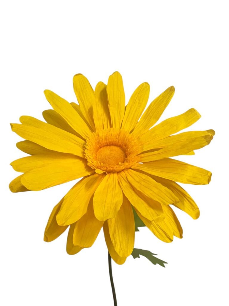 YELLOW GERBERA
