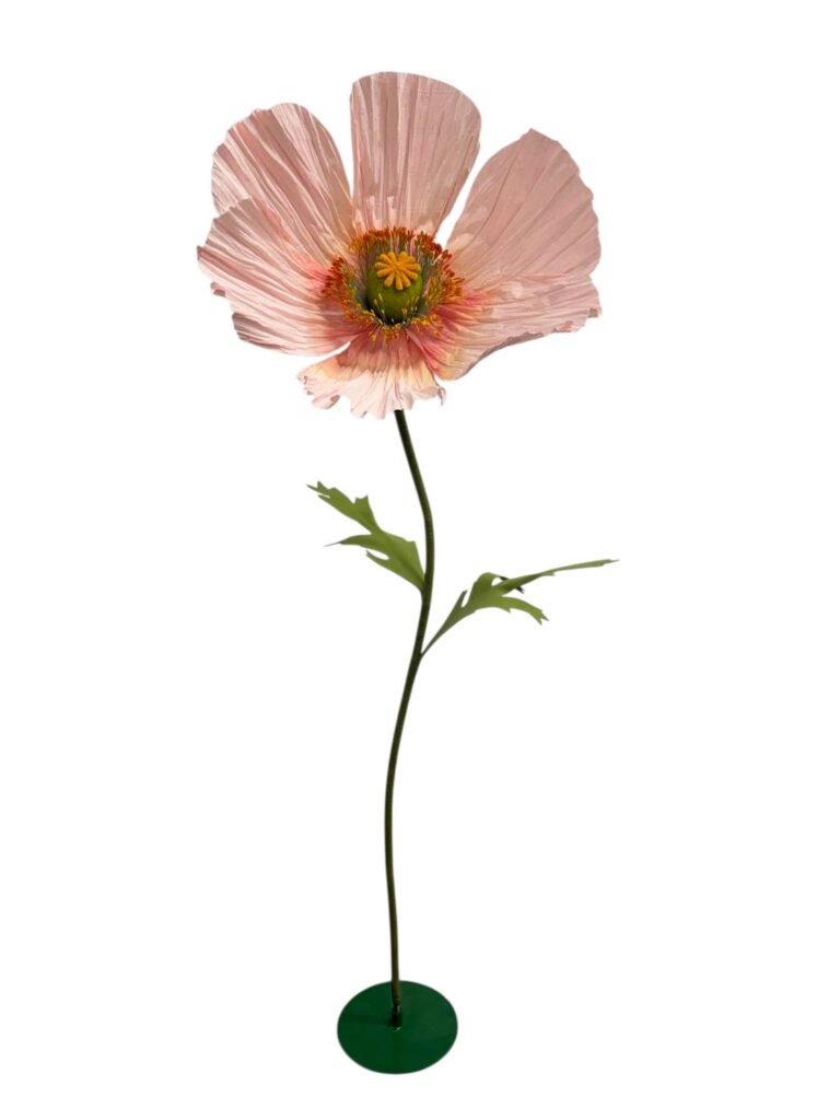 SOFT PINK POPPY