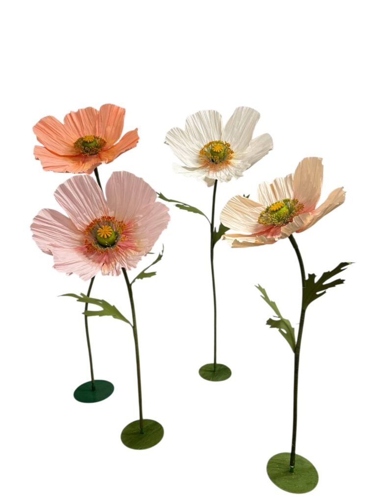 Poppy