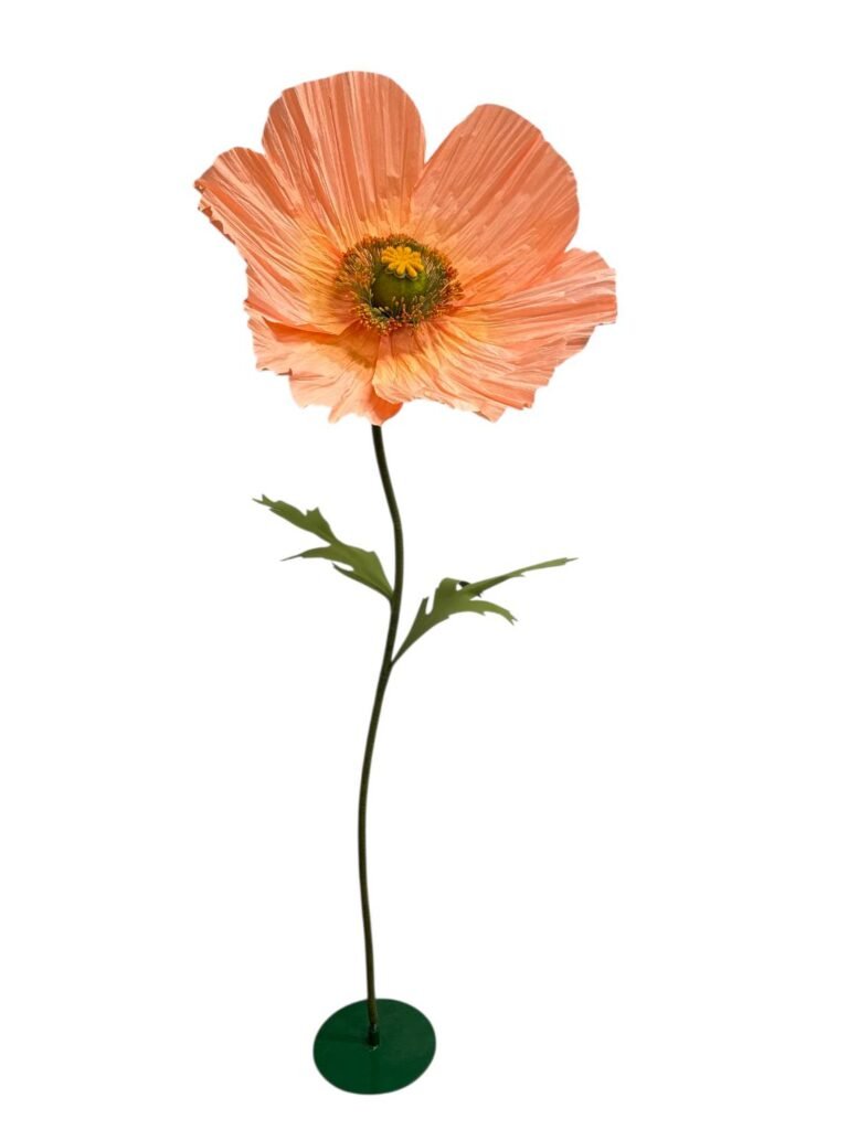 Poppy