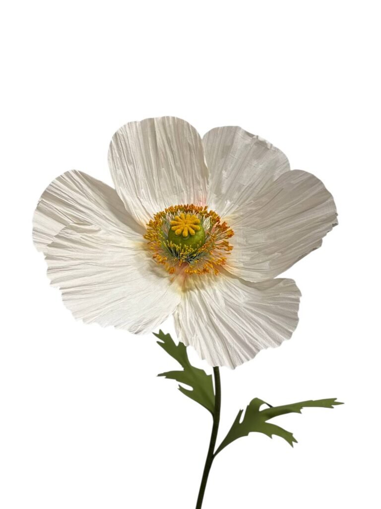 WHITE POPPY