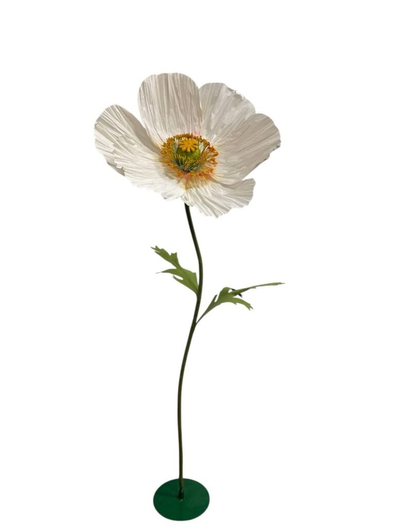 WHITE POPPY