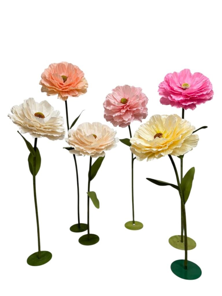 RANUNCULUS