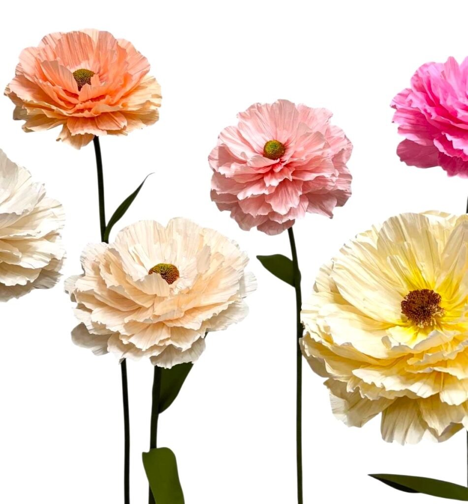 BEIGE SALMON RANUNCULUS