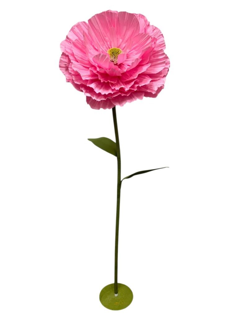 BRIGHT PINK RANUNCULUS