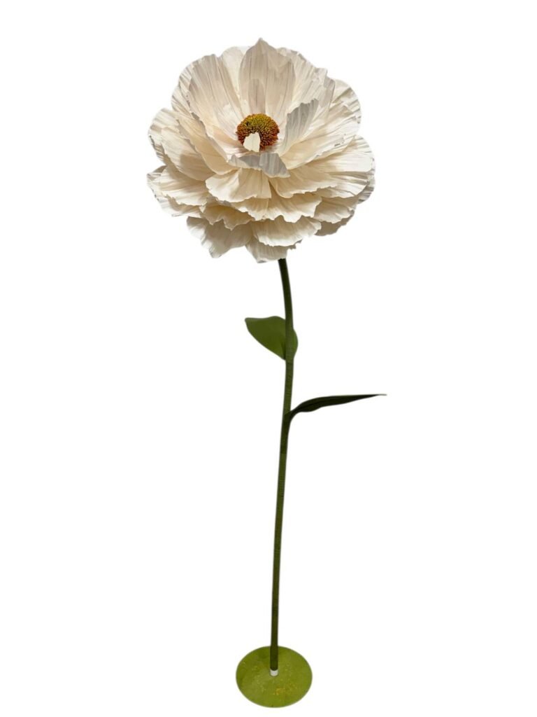 WHITE RANUNCULUS