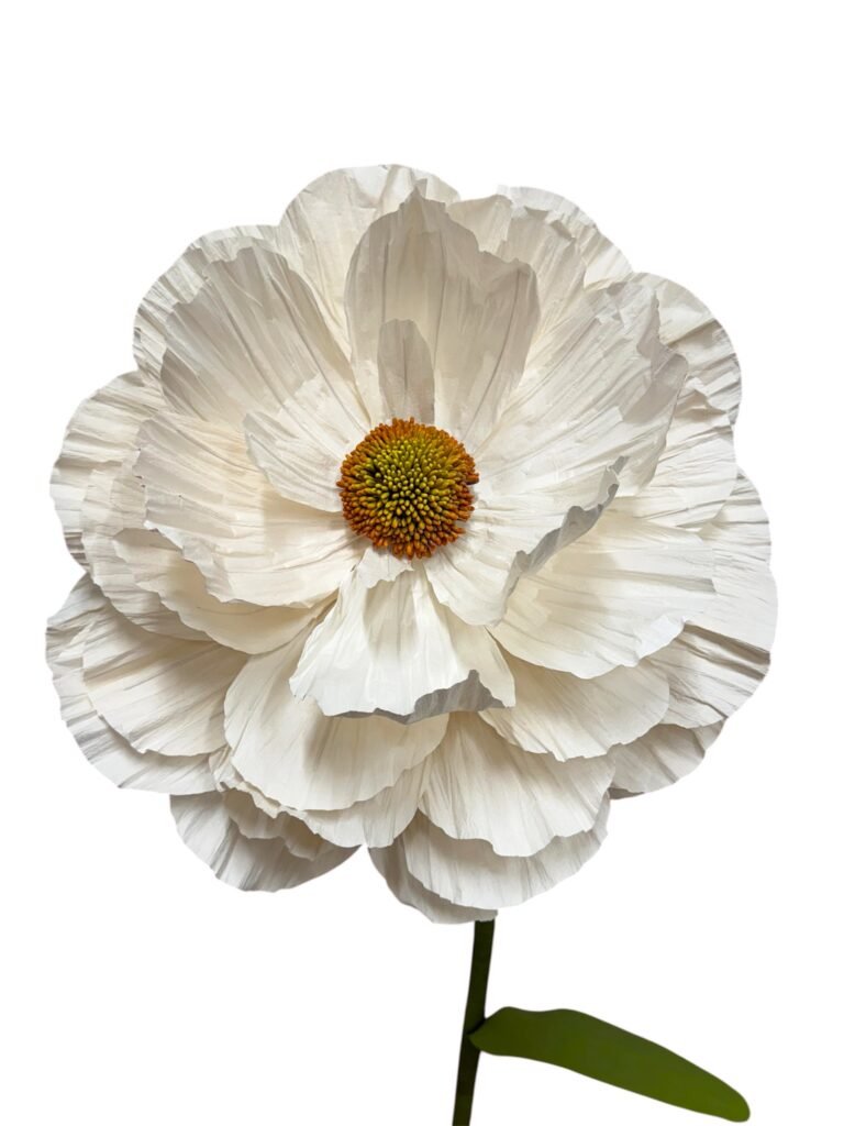 WHITE RANUNCULUS
